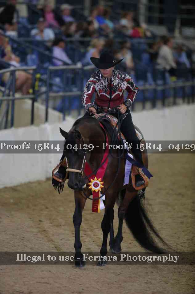 Proof Number 15R14_04129