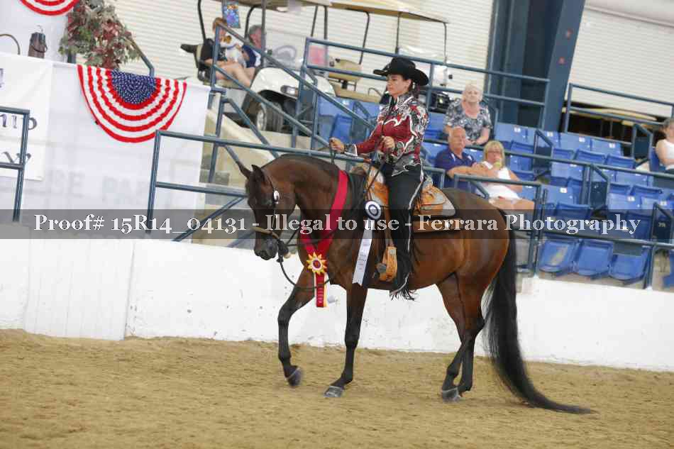 Proof Number 15R14_04131