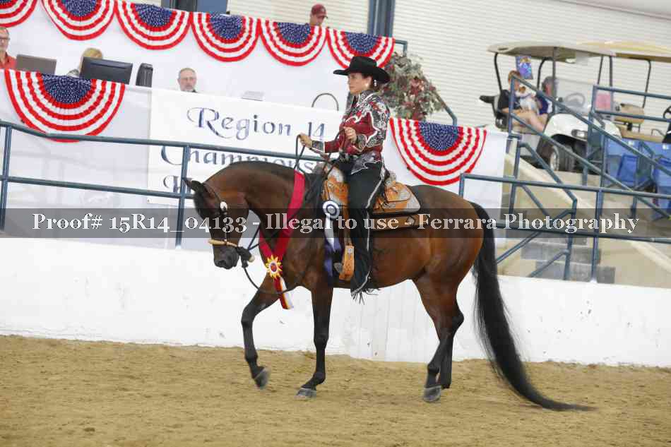 Proof Number 15R14_04133