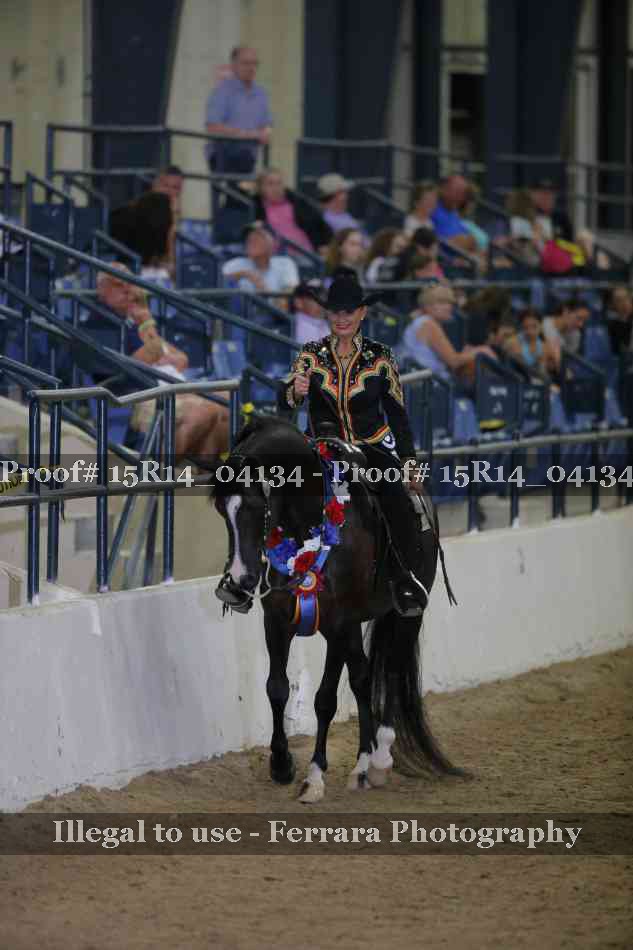 Proof Number 15R14_04134