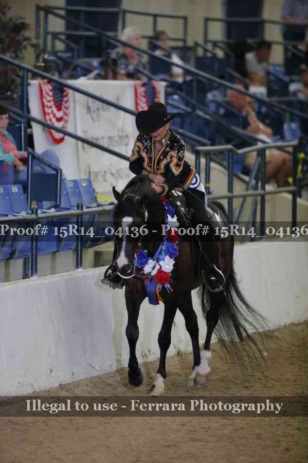 Proof Number 15R14_04136