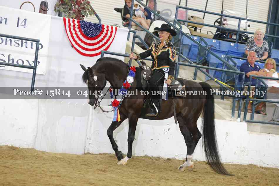 Proof Number 15R14_04143