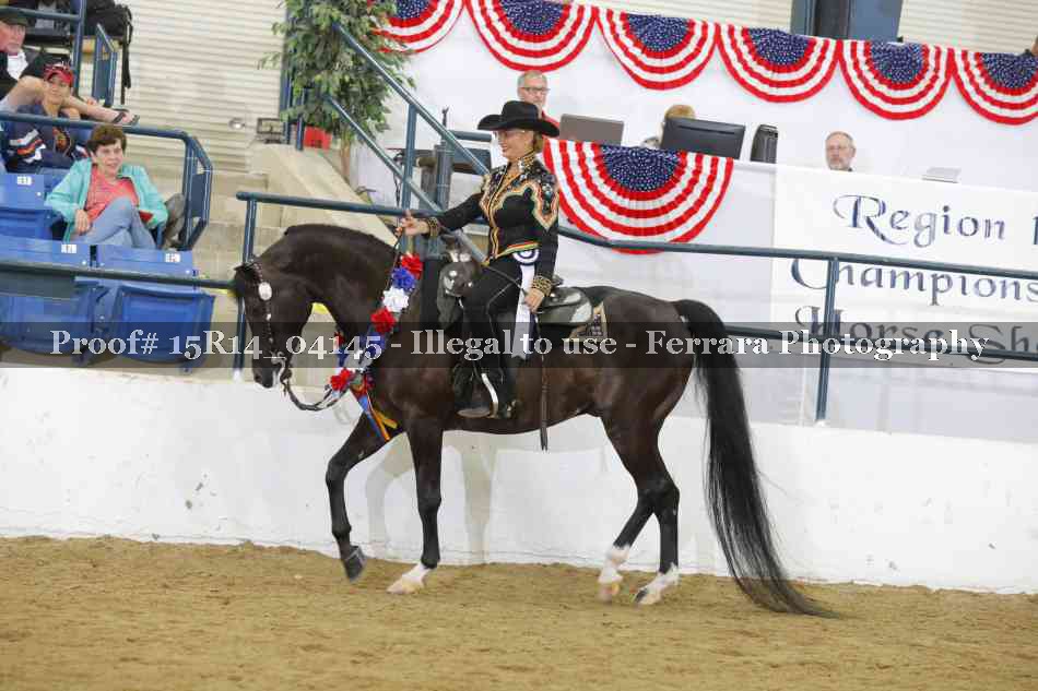 Proof Number 15R14_04145