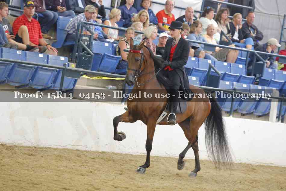Proof Number 15R14_04153