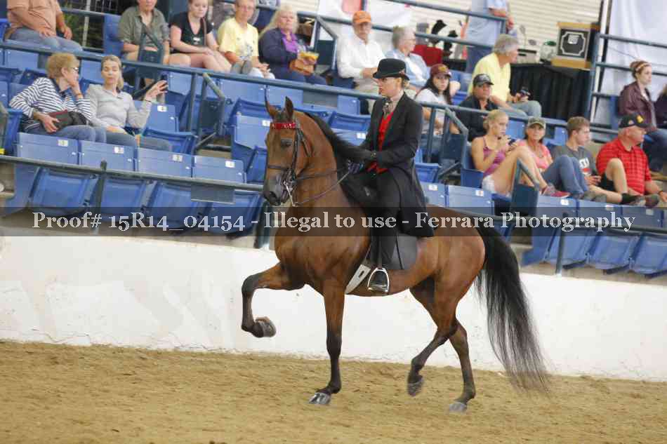 Proof Number 15R14_04154