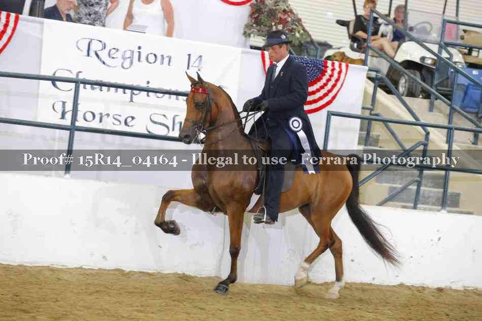 Proof Number 15R14_04164