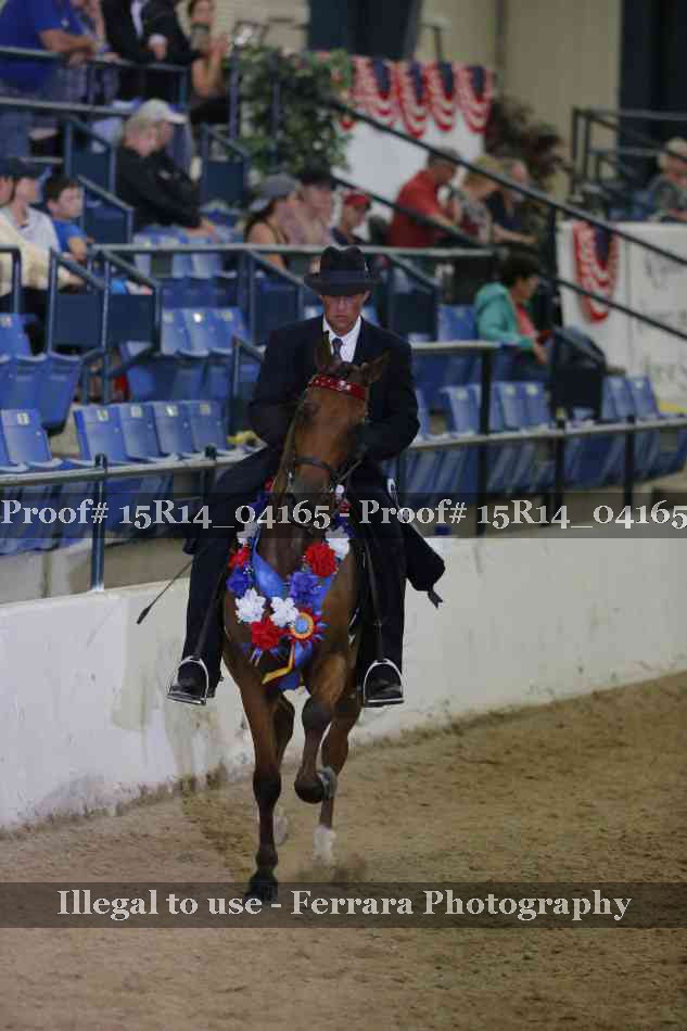 Proof Number 15R14_04165