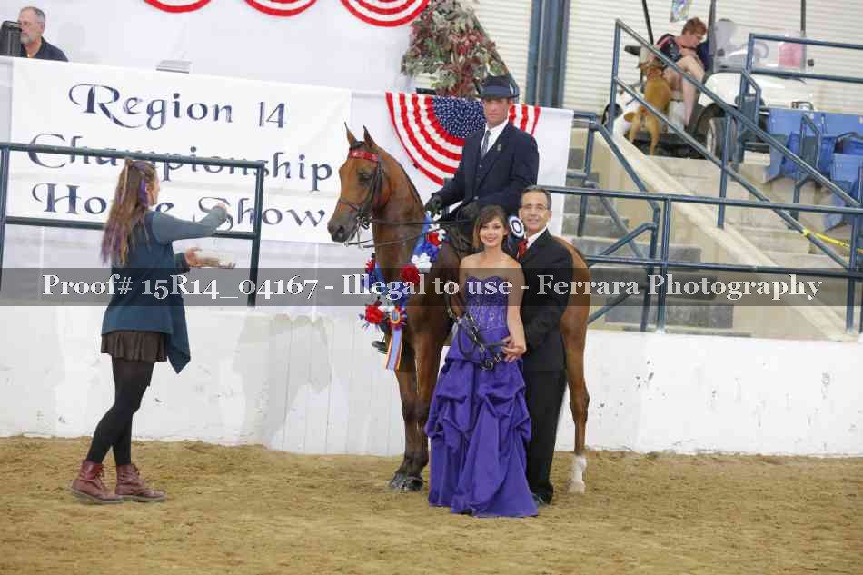 Proof Number 15R14_04167