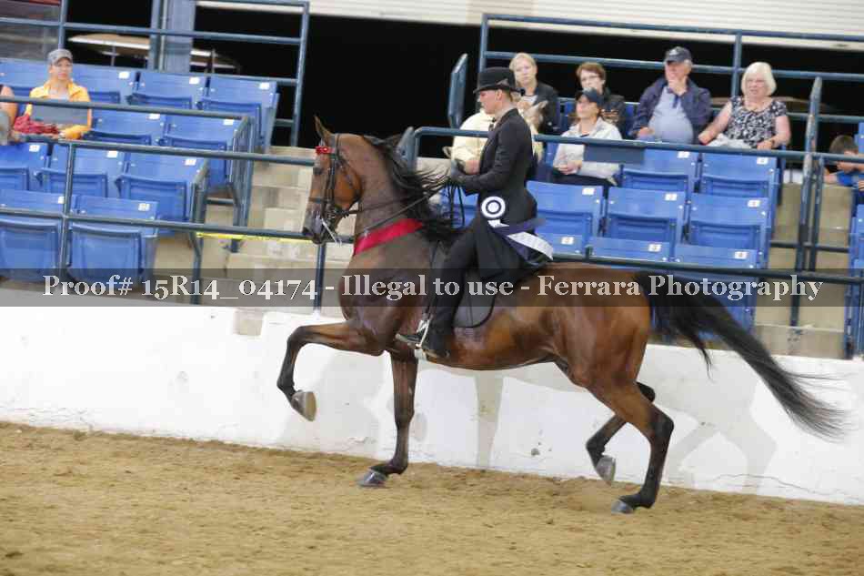 Proof Number 15R14_04174