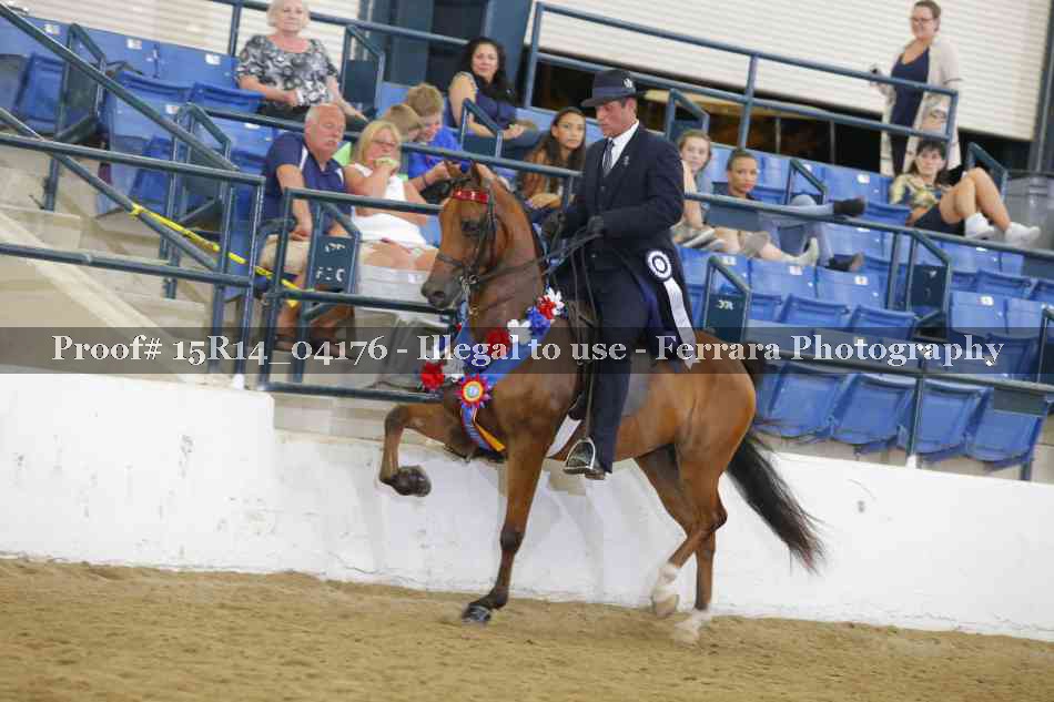 Proof Number 15R14_04176