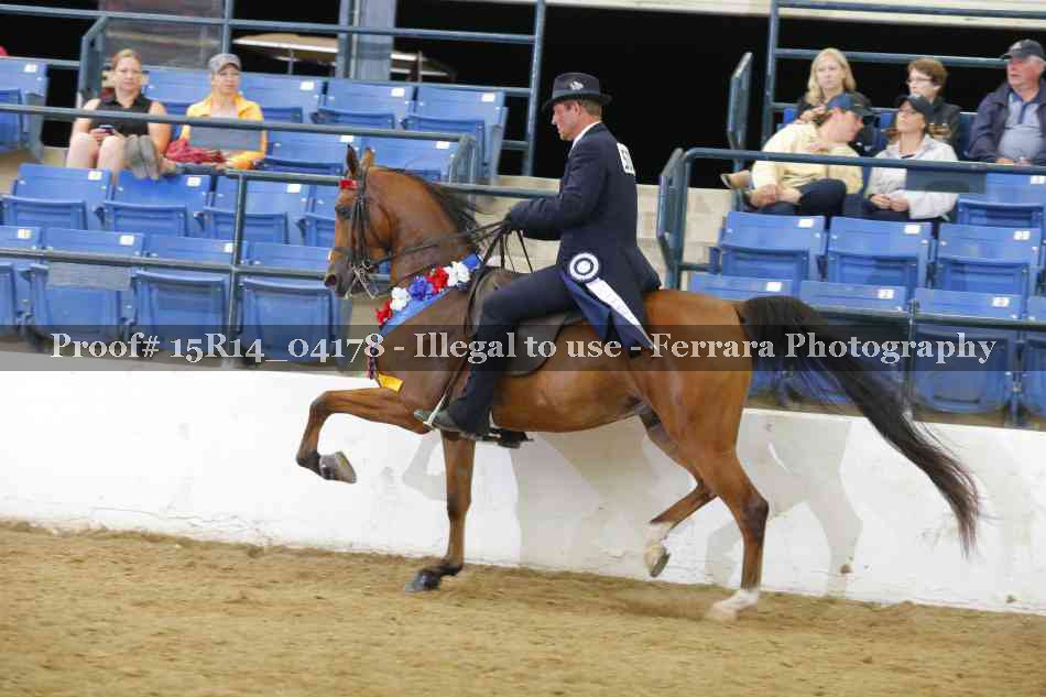 Proof Number 15R14_04178