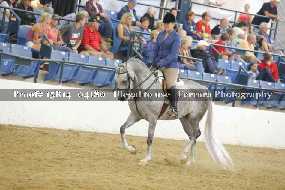 Proof Number 15R14_04180