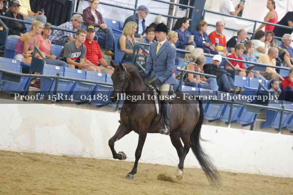 Proof Number 15R14_04183