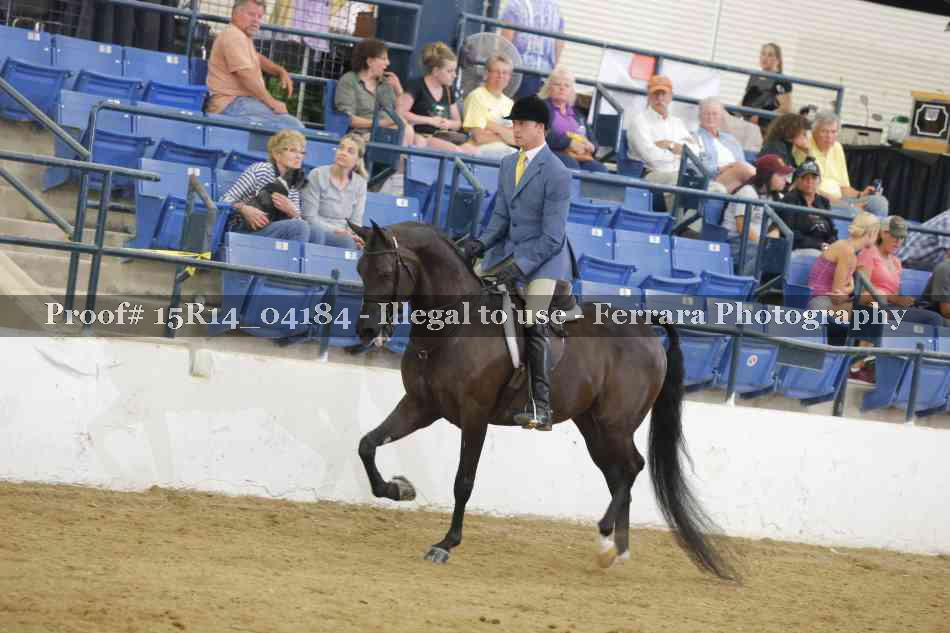Proof Number 15R14_04184