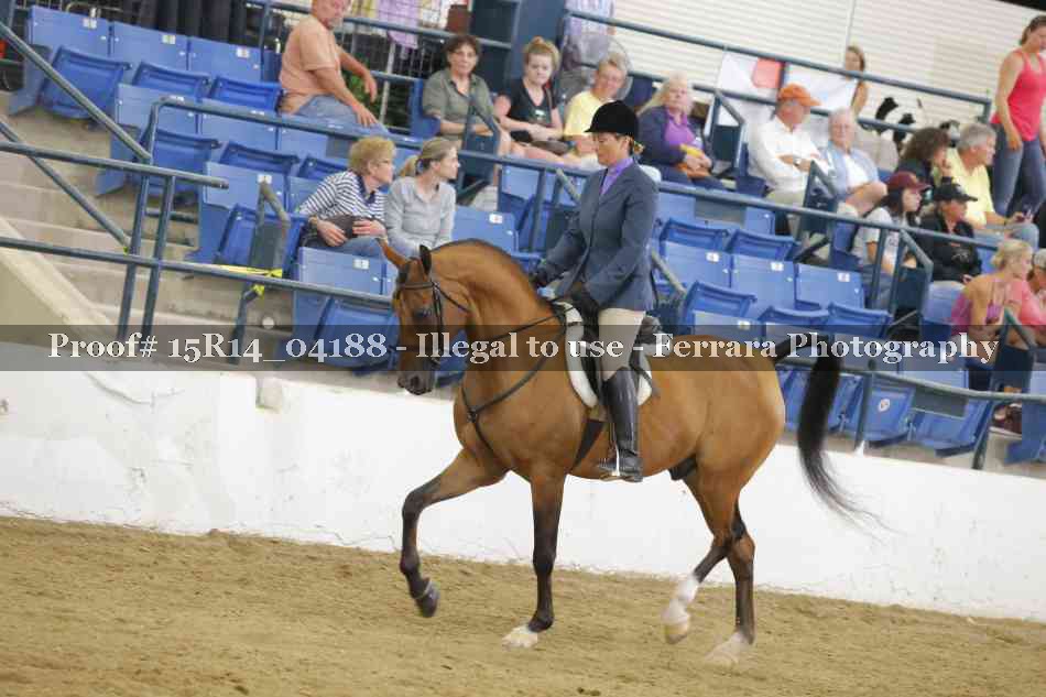 Proof Number 15R14_04188