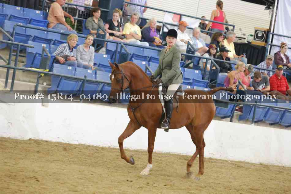 Proof Number 15R14_04189