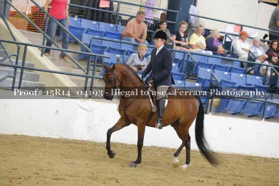 Proof Number 15R14_04193