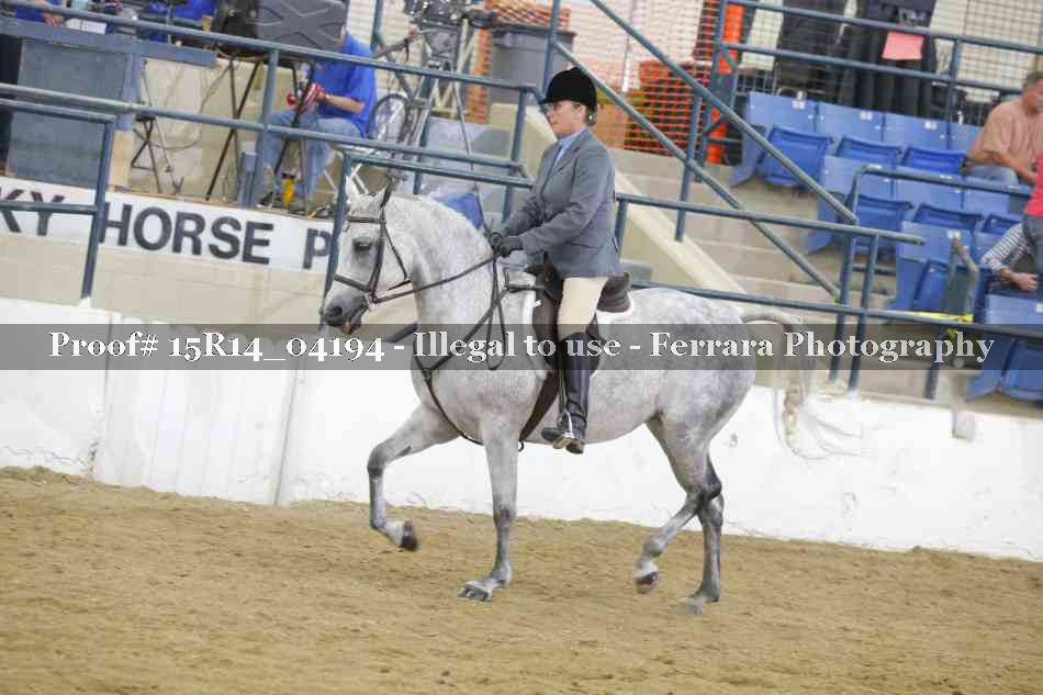 Proof Number 15R14_04194
