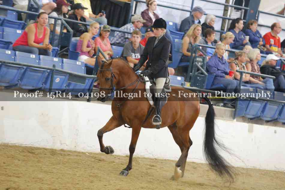 Proof Number 15R14_04198