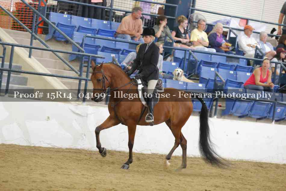 Proof Number 15R14_04199