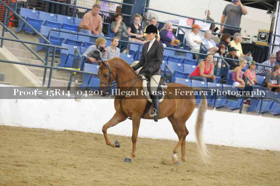Proof Number 15R14_04201