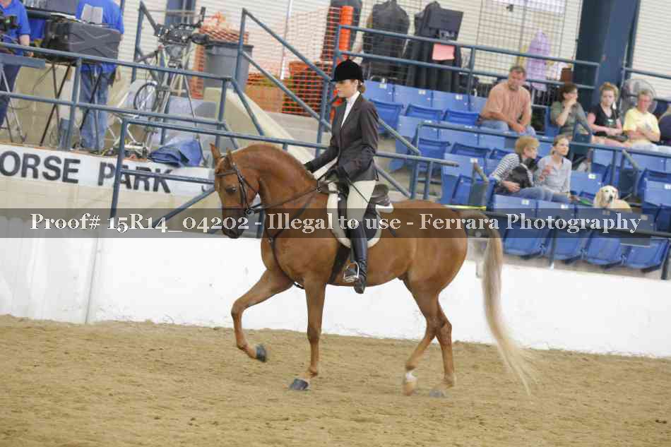 Proof Number 15R14_04202