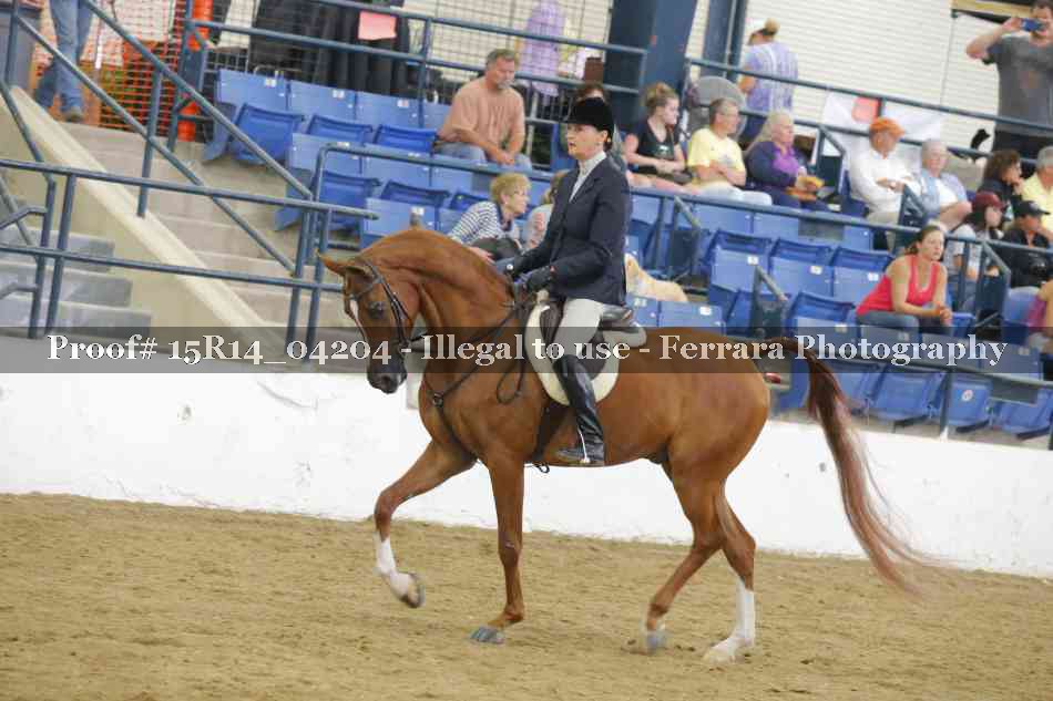 Proof Number 15R14_04204