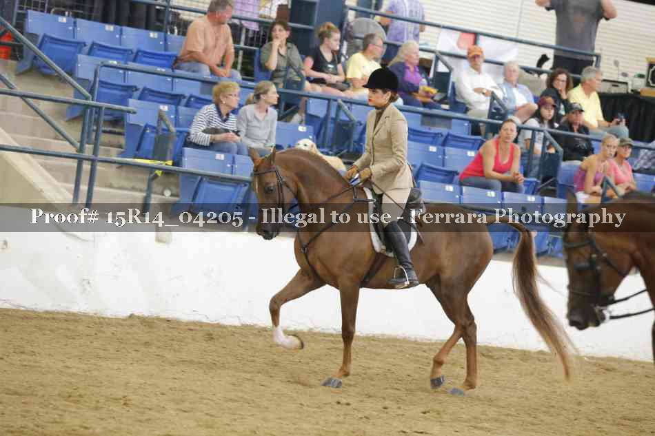 Proof Number 15R14_04205