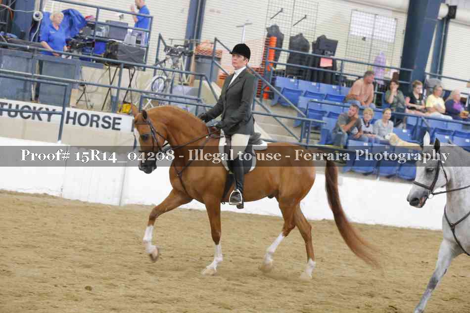 Proof Number 15R14_04208