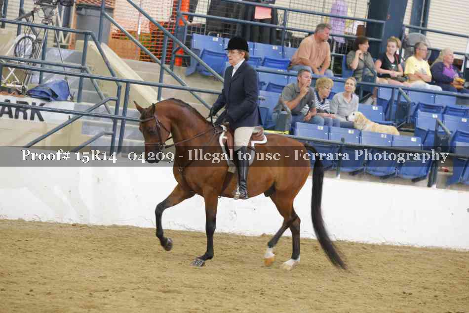 Proof Number 15R14_04209