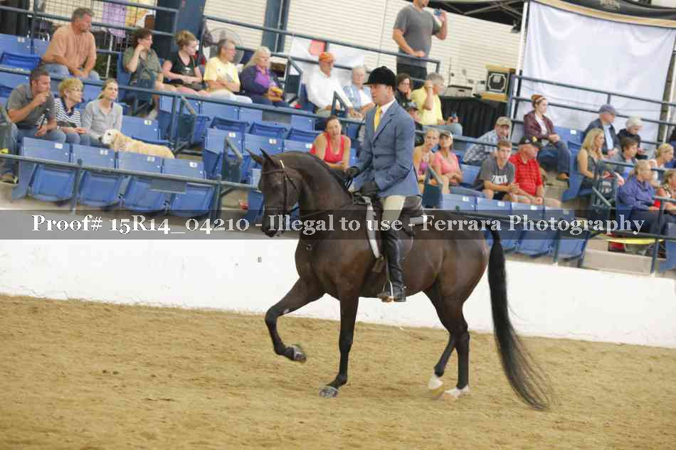 Proof Number 15R14_04210