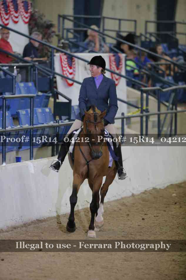 Proof Number 15R14_04212