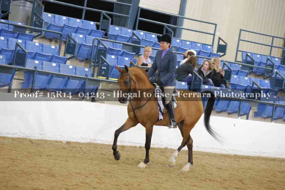 Proof Number 15R14_04213