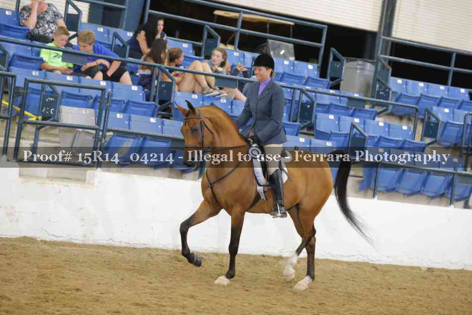 Proof Number 15R14_04214