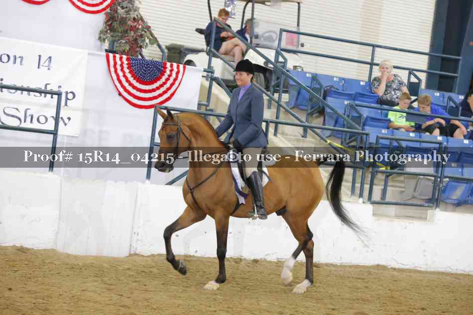 Proof Number 15R14_04215