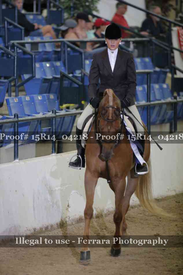 Proof Number 15R14_04218