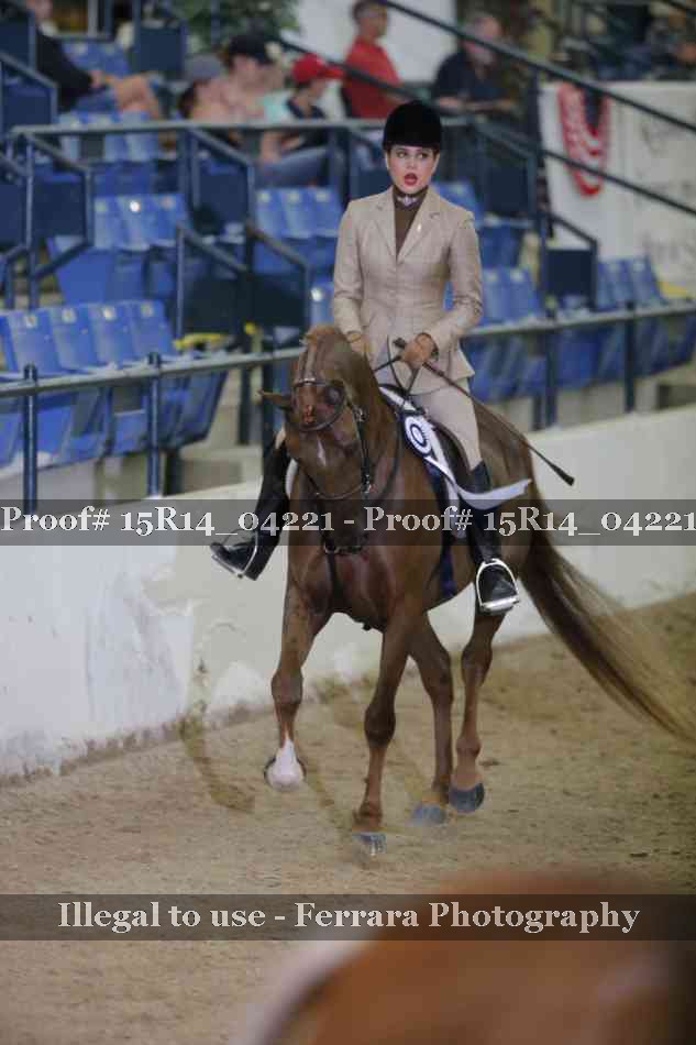 Proof Number 15R14_04221