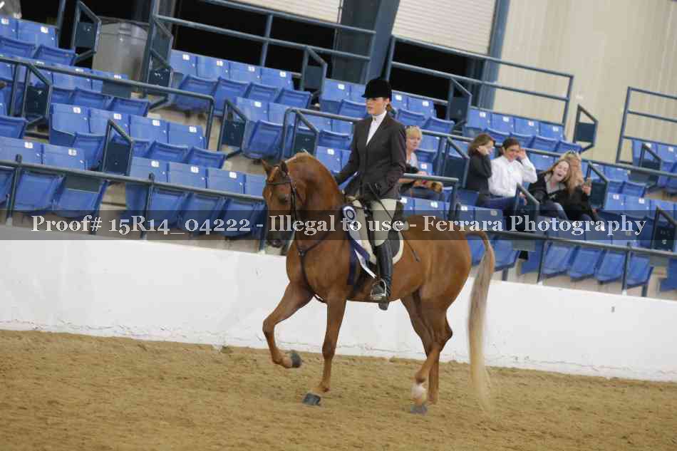 Proof Number 15R14_04222