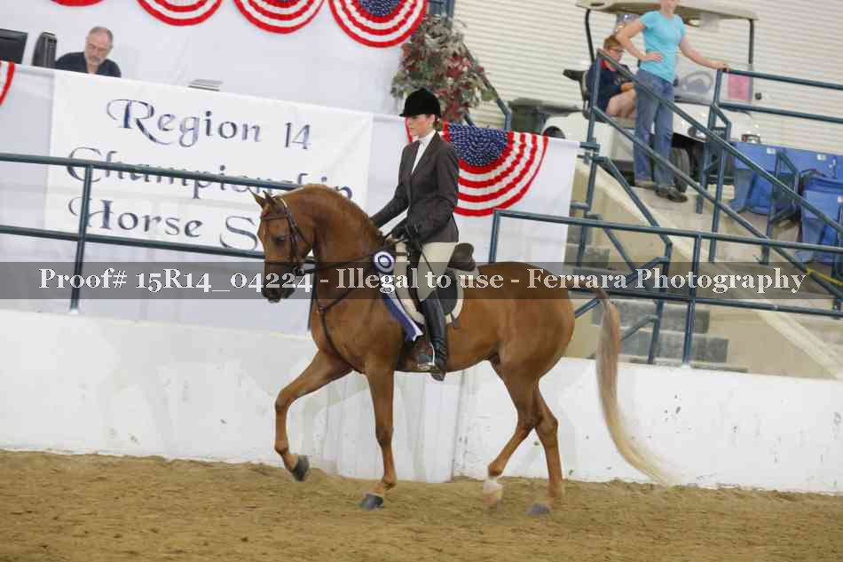 Proof Number 15R14_04224