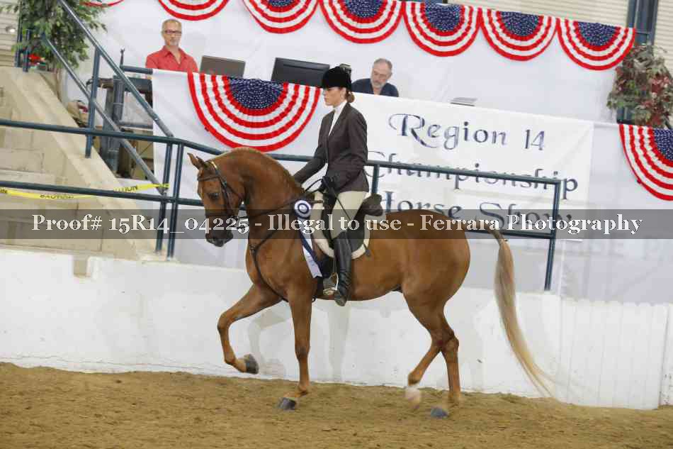 Proof Number 15R14_04225