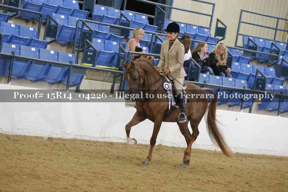 Proof Number 15R14_04226