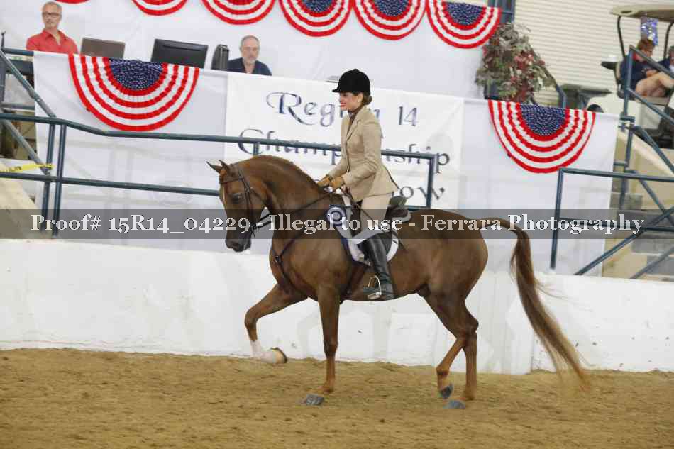 Proof Number 15R14_04229