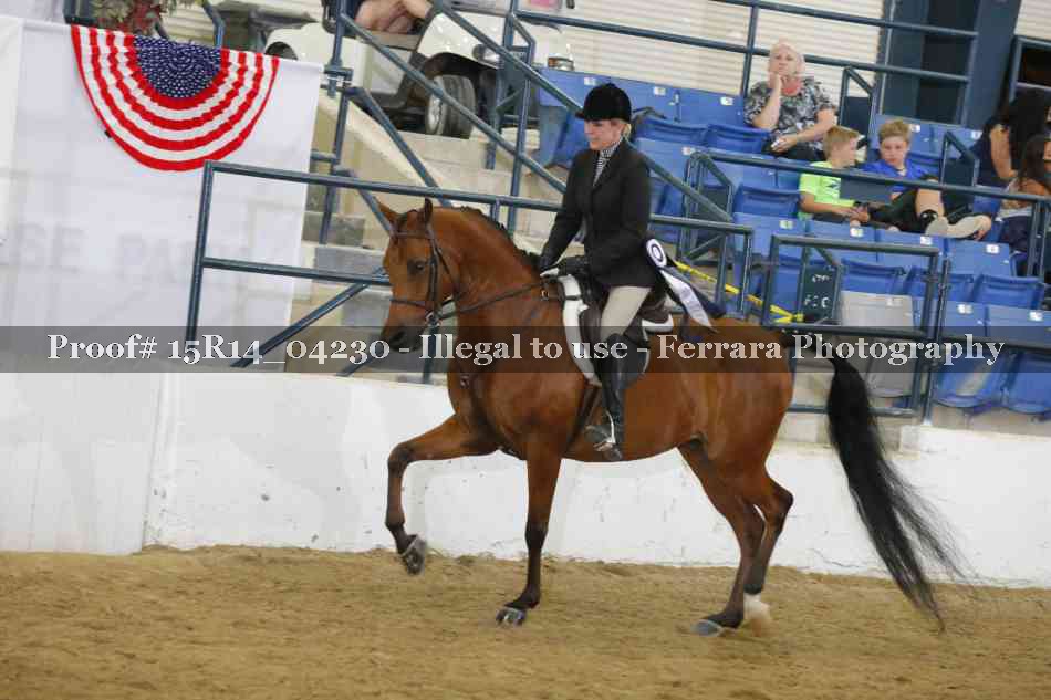 Proof Number 15R14_04230
