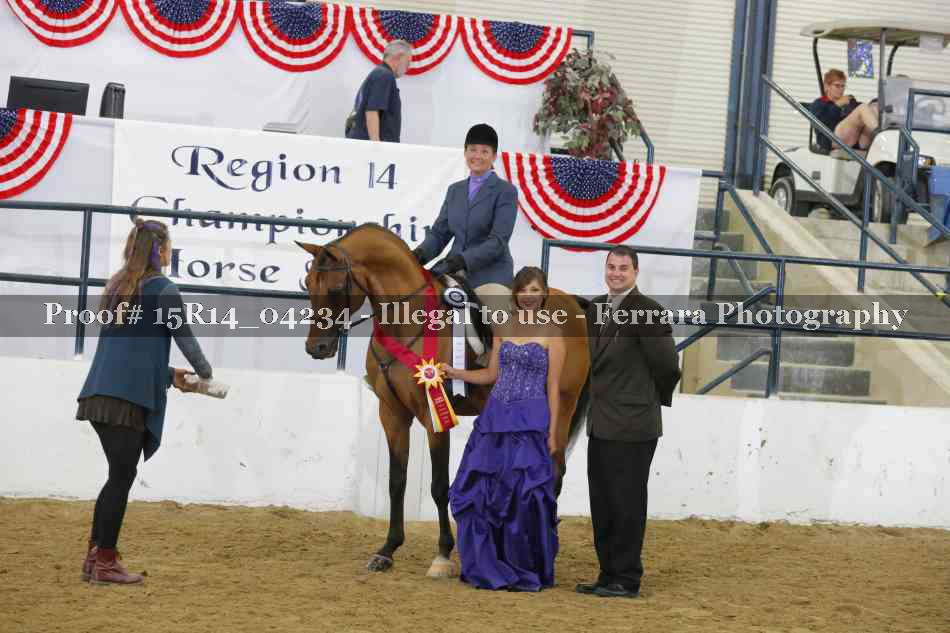 Proof Number 15R14_04234