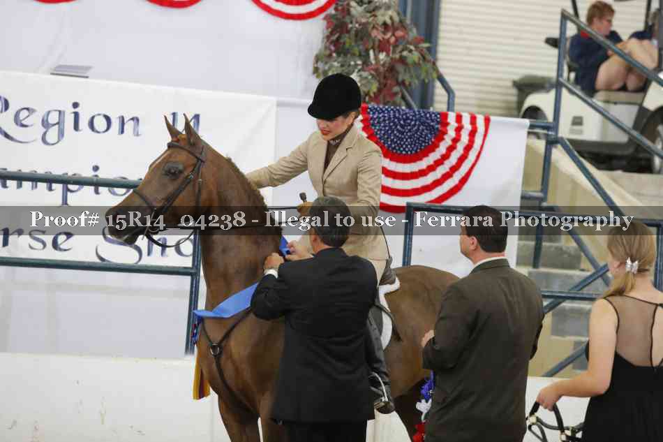 Proof Number 15R14_04238