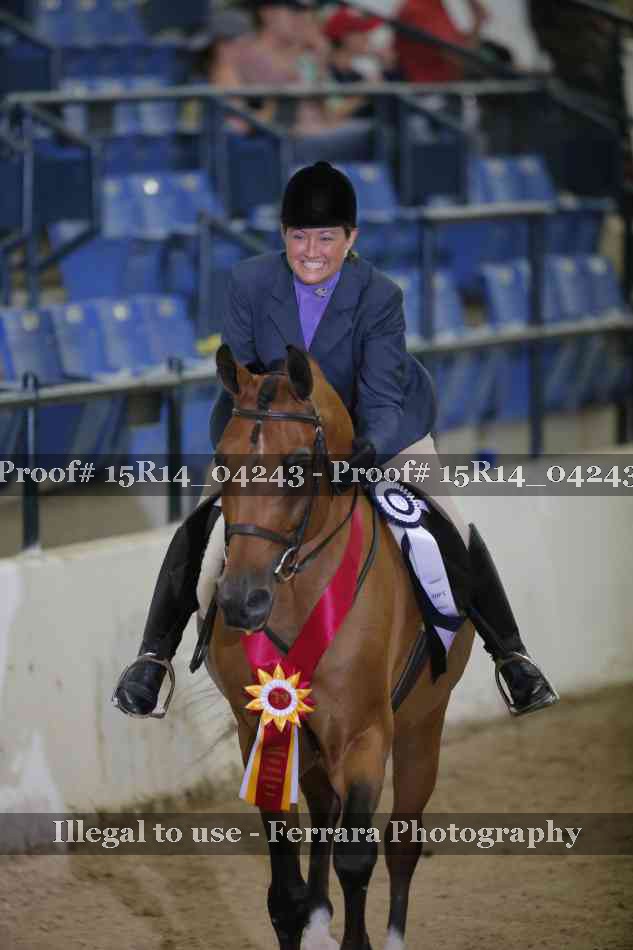 Proof Number 15R14_04243