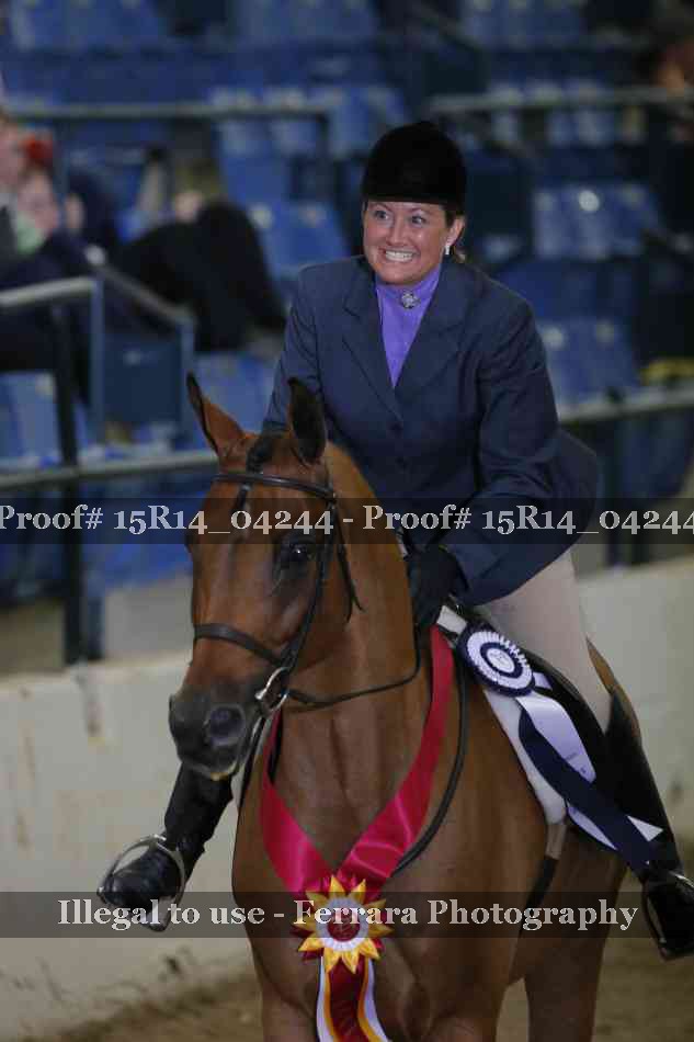 Proof Number 15R14_04244