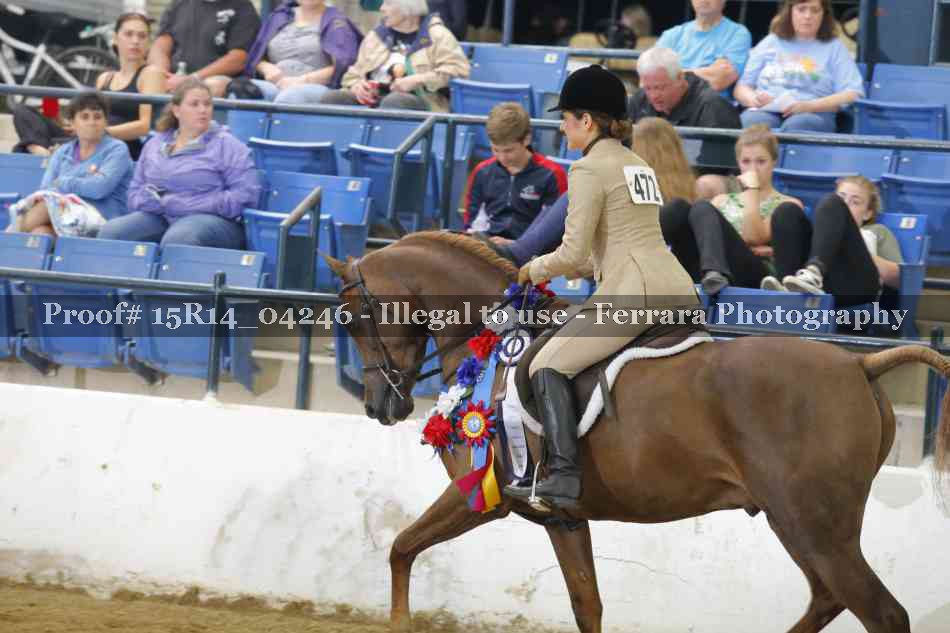 Proof Number 15R14_04246
