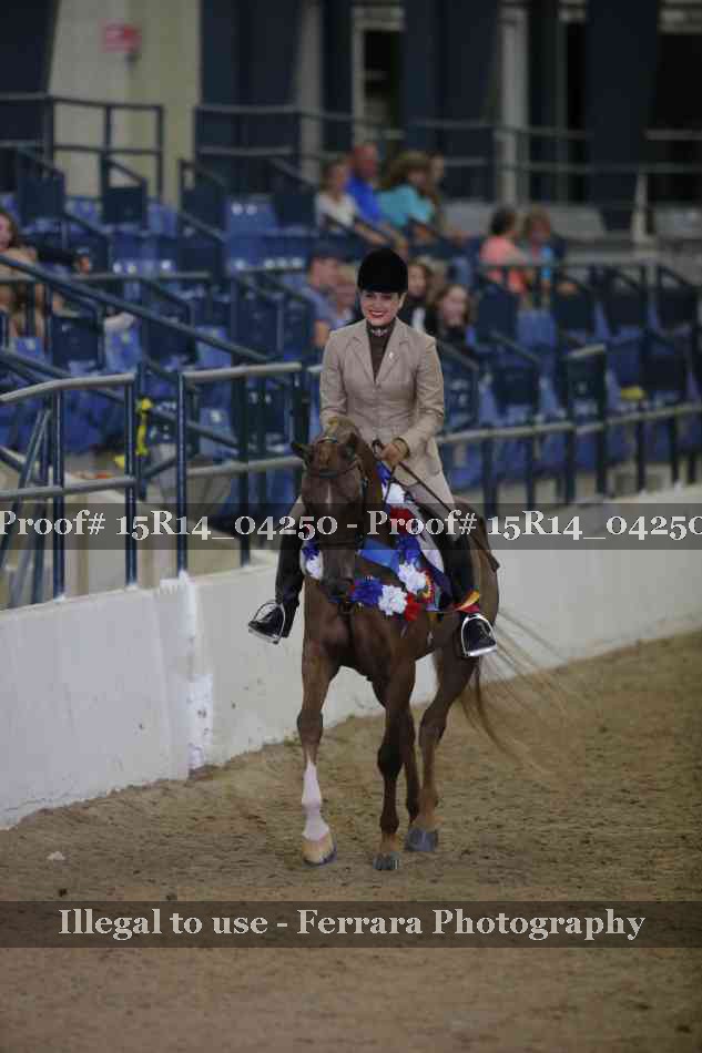 Proof Number 15R14_04250