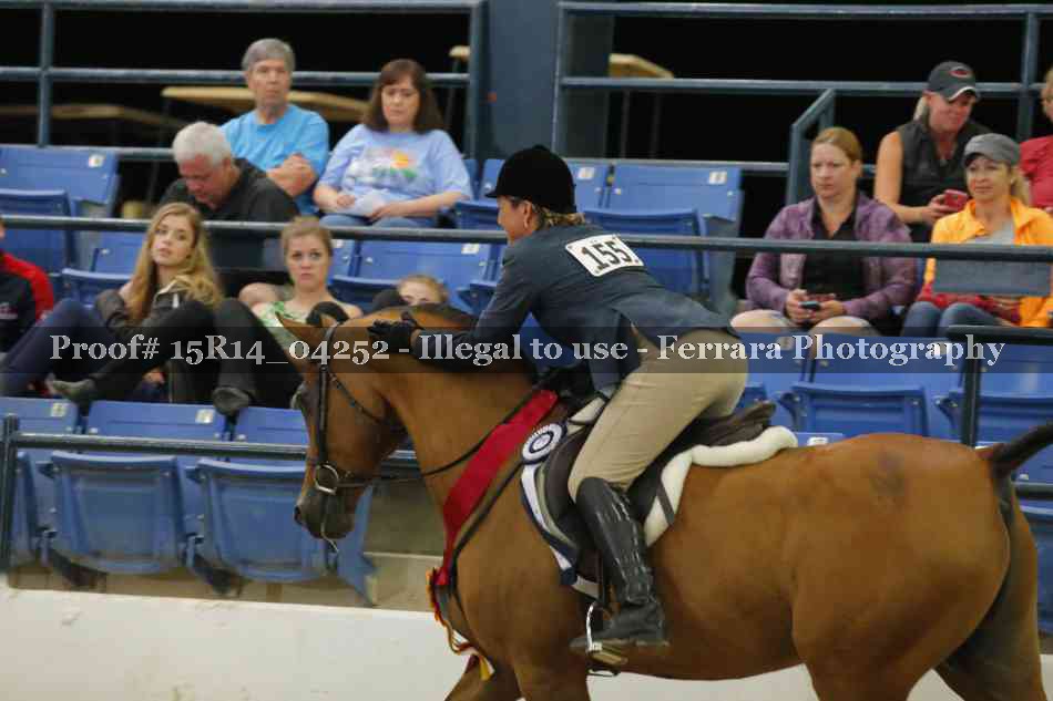 Proof Number 15R14_04252